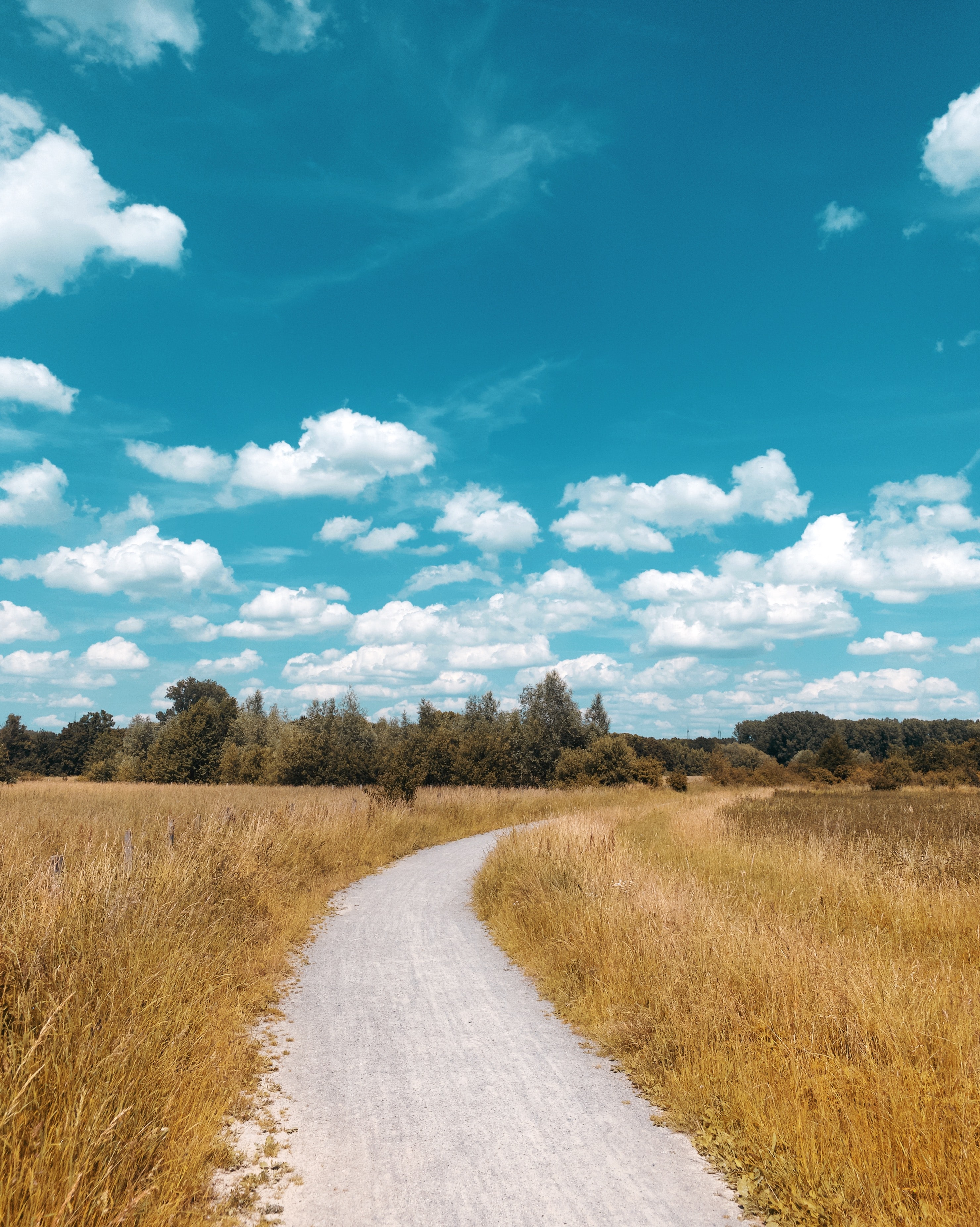 outdoors path photo by 30daysreplay Marketingberatung