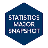 stat major snapshot