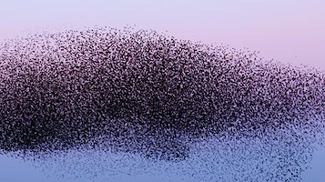 abstract swarm