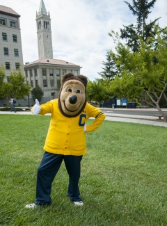 cal day bear mascot campanile