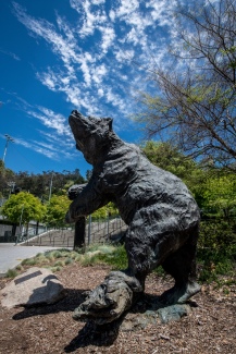 Photo of bear statue that resides in front of Stadium