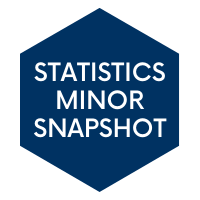 Statistics Minor Snapshot